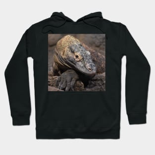 Komodo Dragon Hoodie